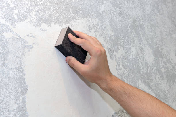 Mold Documentation for Insurance Claims in Wewahitchka, FL