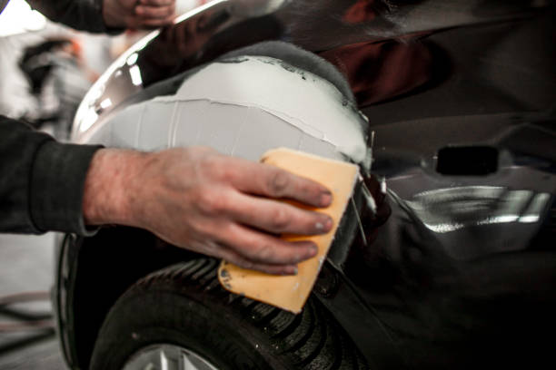 Best Mold Damage Restoration  in Wewahitchka, FL