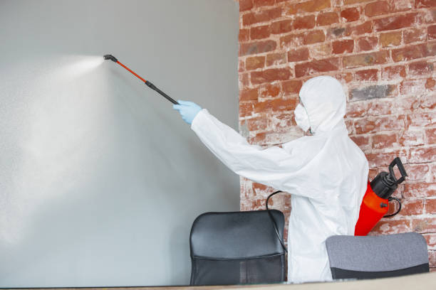 Best Air Quality Testing for Mold Spores  in Wewahitchka, FL