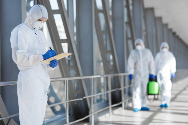 Best Mold-Related Health Consultation  in Wewahitchka, FL