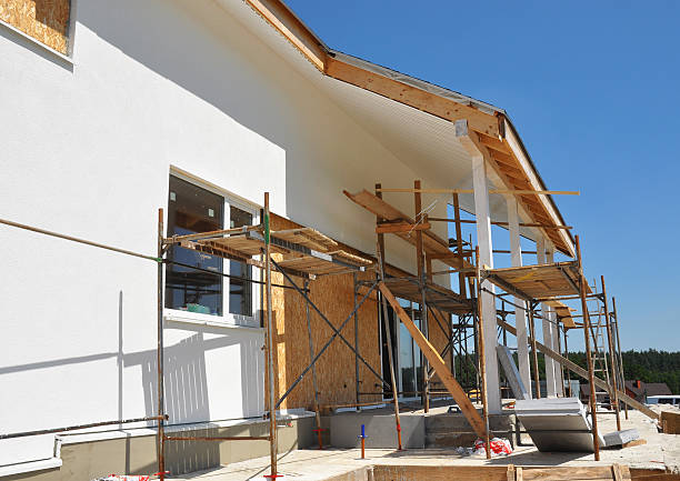 Wewahitchka, FL Mold Removal Company