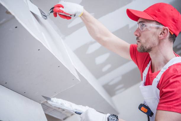  Wewahitchka, FL Mold Removal Pros